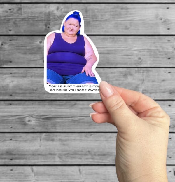 Amy Slaton, 1000 lb sisters stickers, funny laptop stickers