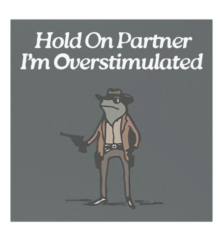 Cowboy Frog Hold On Partner Im Overstimulated Car Magnets