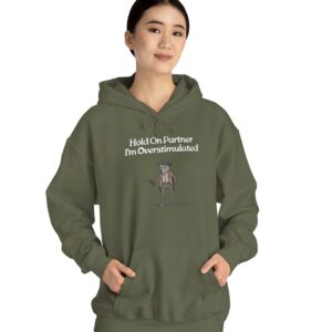 Cowboy Frog Hold On Partner Im Overstimulated Hoodie