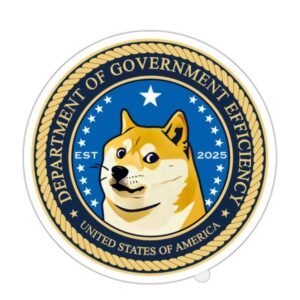 DOGE Department of Government Efficiency Sticker