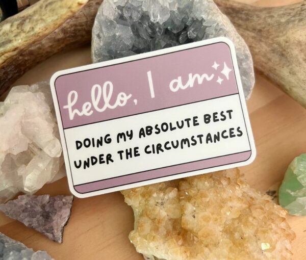 Doing My Best Sticker Water Bottle Sticker Hello I Am Sticker Funny Name Tag Sticker