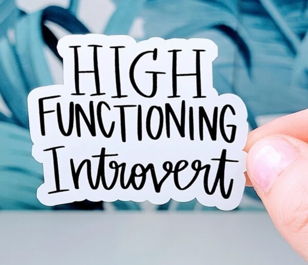 High functioning introvert sticker