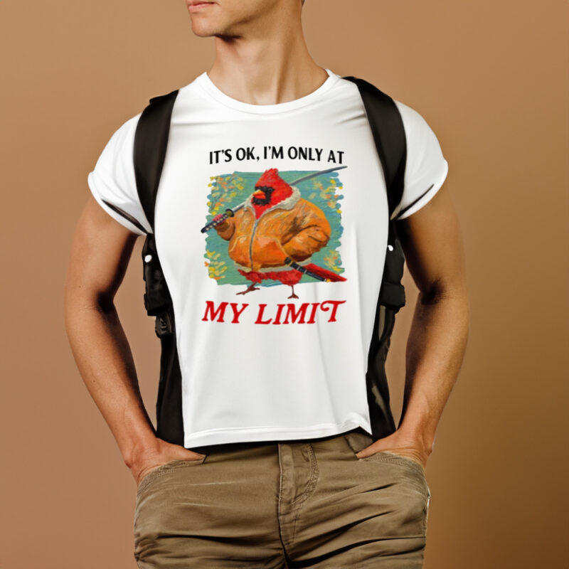 It's Ok I'm Only At My Limit Shirt