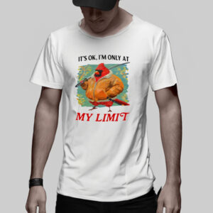 It's Ok I'm Only At My Limit Shirt2