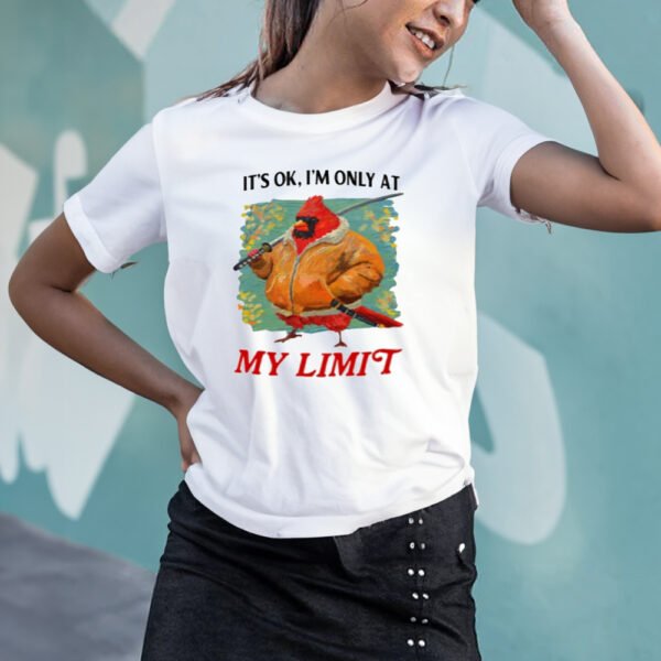 It's Ok I'm Only At My Limit Shirt3