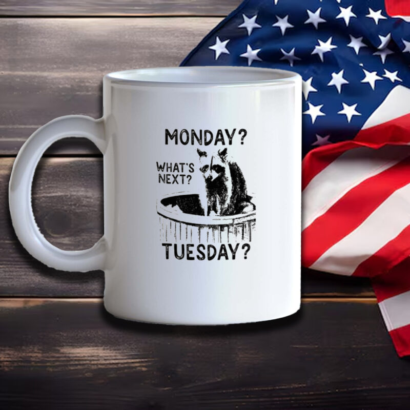 Monday What’s Next Tuesday Raccoon Mug3