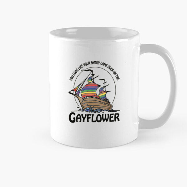 You Look Like Your Family Came Over On The Gayflower Mug