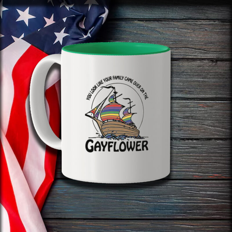 You Look Like Your Family Came Over On The Gayflower Mug1