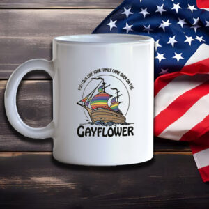 You Look Like Your Family Came Over On The Gayflower Mug3