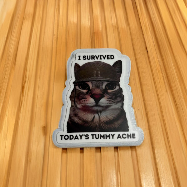 I Surived Today’s Tummy Ache Cat Meme Sticker