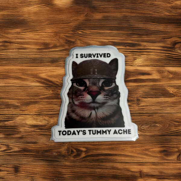 I Surived Today’s Tummy Ache Cat Meme Sticker