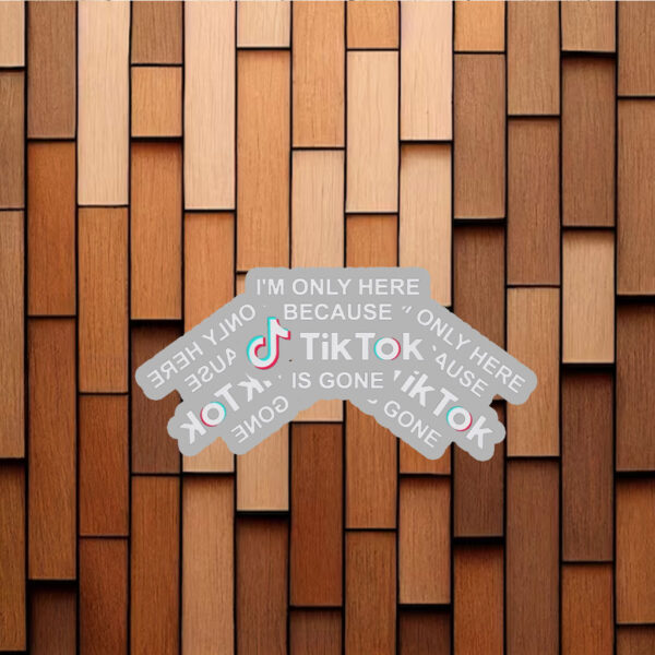 I’m Only Here Because TikTok is Gone Stickers