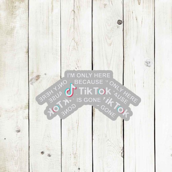 I’m Only Here Because TikTok is Gone Stickers