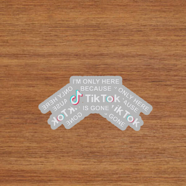 I’m Only Here Because TikTok is Gone Stickers