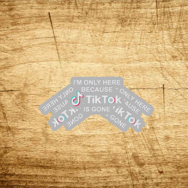 I’m Only Here Because TikTok is Gone Stickers